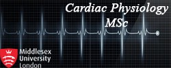 Clinical Physiology (Cardiology)